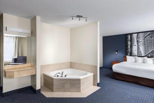 a hotel room with a tub and a bed at Hôtel TERRA Laurentides in Sainte-Agathe-des-Monts