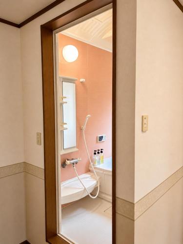 a bathroom with a toilet and a mirror at Anise Garden Lodge in Hakuba