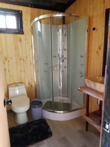 a bathroom with a shower and a toilet and a sink at Cabañas Alturas Don Gaspar in Recinto