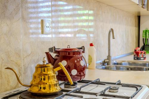 a tea kettle sitting on top of a stove in a kitchen at Gabala Garden Harmony in Gabala