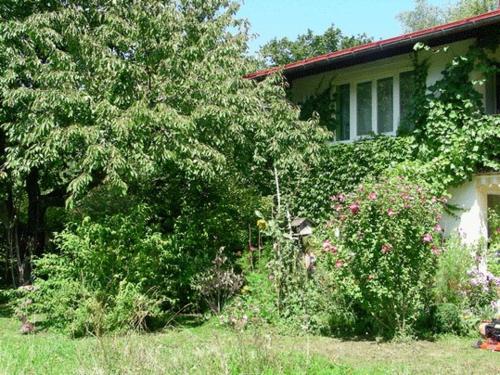 a house with a bunch of bushes in the yard at Ferienwohnung Guder in Bayerisch Gmain