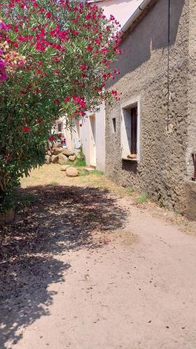 Casapiana 01