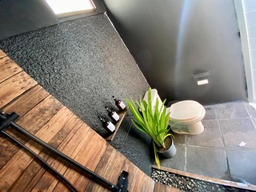 an overhead view of a bathroom with a toilet and a plant at Music Guest House in Mexico City