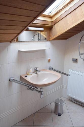 a bathroom with a sink and a mirror at Ferienwohnung Wiedenhofer in Regenstauf