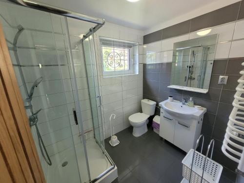 a bathroom with a shower and a toilet and a sink at Dom Wakacyjny MONA in Małe Swornigacie