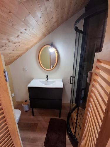 a bathroom with a sink and a mirror at Passiflore in Saint-Racho