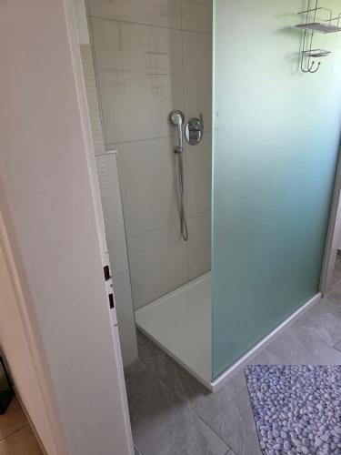 a shower with a glass door in a bathroom at Seehaus Brigitte in Owingen