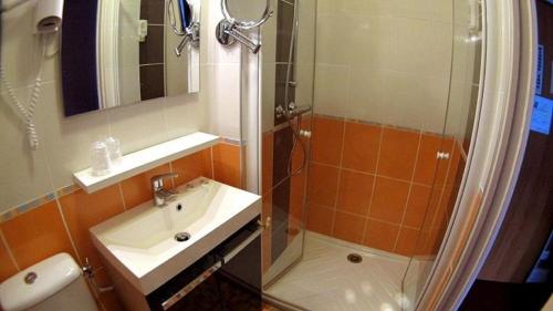 a bathroom with a shower and a sink and a toilet at Hotel du Lion d'Or in Rocamadour