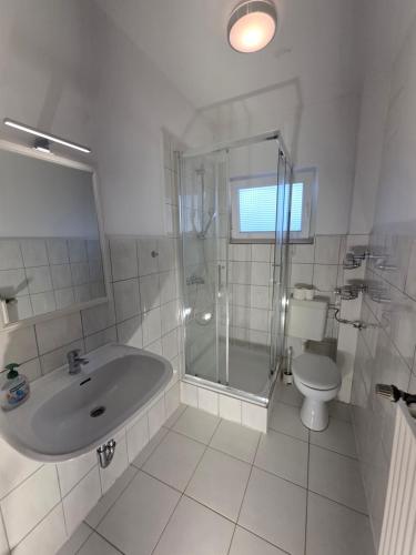 a bathroom with a shower and a sink and a toilet at Ferienhaus Löwe in Niedenstein