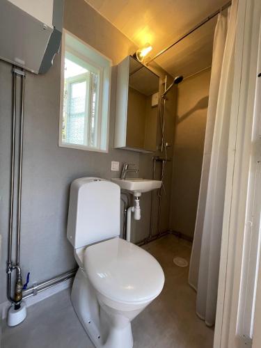a bathroom with a white toilet and a sink at Ljugarn Semesterby in Ljugarn