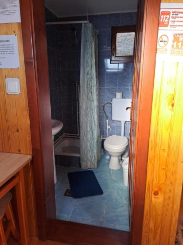 a small bathroom with a toilet and a sink at Cabanutele Geo in Lacu Rosu