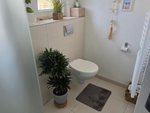 ein Badezimmer mit Toilette und Pflanzen darin in der Unterkunft Studio Seeperle in Owingen