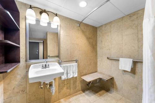 a bathroom with a sink and a mirror at Radisson Hotel La Crosse in La Crosse