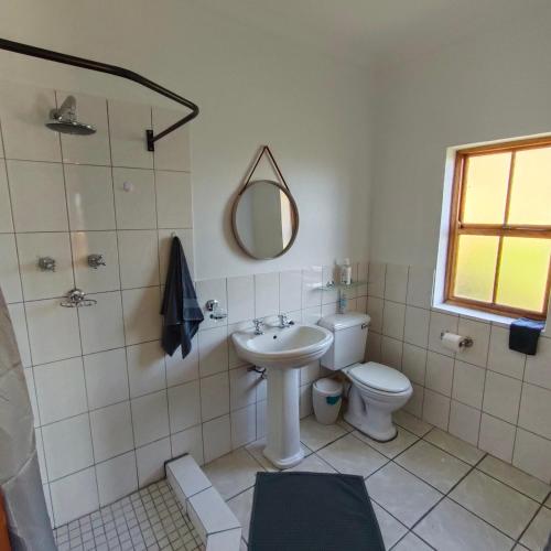 a bathroom with a sink and a toilet and a mirror at Zion's Rest in Barrydale