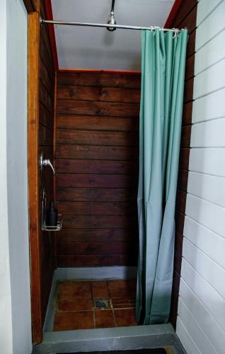 a shower with a green shower curtain in a bathroom at The Lineage Lodge in Elgin
