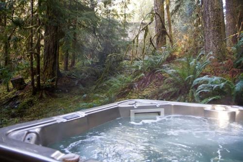 a bath tub in the middle of a forest at Snowline Hillside Chalet in Glacier