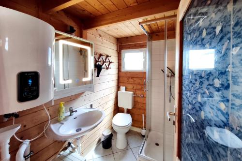 a bathroom with a sink and a toilet and a shower at Ferienwohnung Reimann in Loddin
