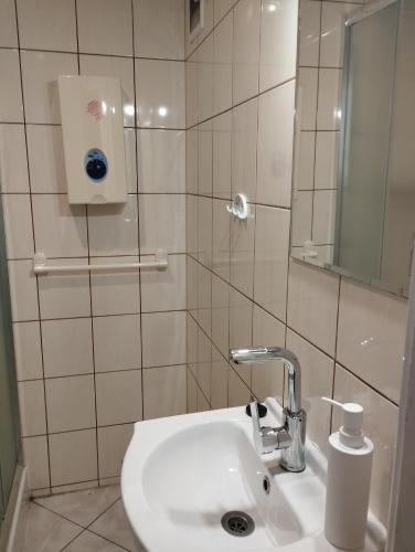a bathroom with a white sink and a mirror at Domki pod brzózkami in Bodzentyn