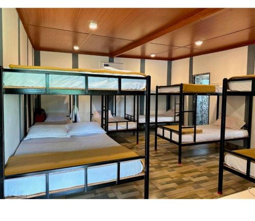 a group of bunk beds in a room at Wildfarms resort in Masinagudi