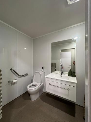 a bathroom with a toilet and a sink and a mirror at 2 Bedroom Comfortable Guest Wing in Hamilton
