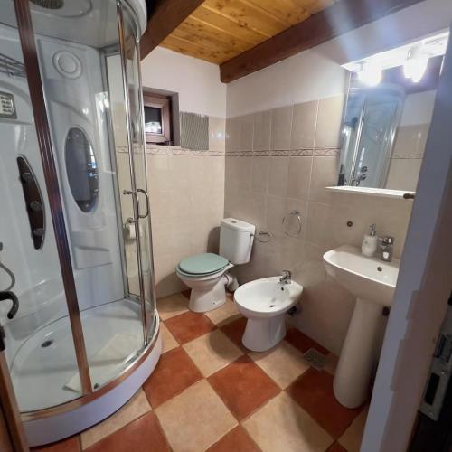 a bathroom with a shower and a toilet and a sink at Pensiunea Cambiano in Beliş