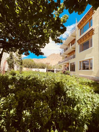 a view of a building with a mountain in the background at Zlatan Guest House in Leh