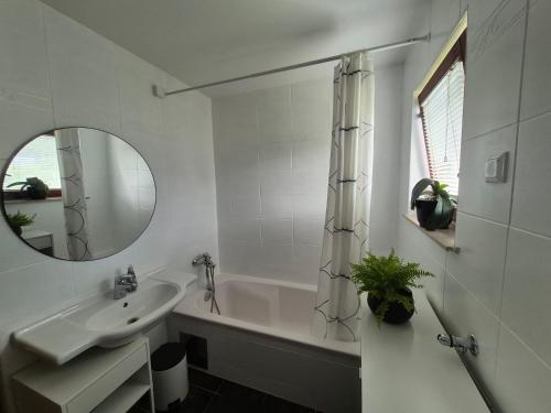a bathroom with a sink and a tub and a mirror at Elly Apartment - 20 min to Ljubljana in Kresnice