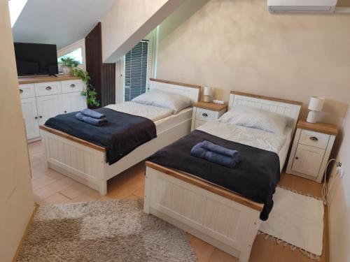 two twin beds in a room with a television at Rózsadomb apartman in Pécs