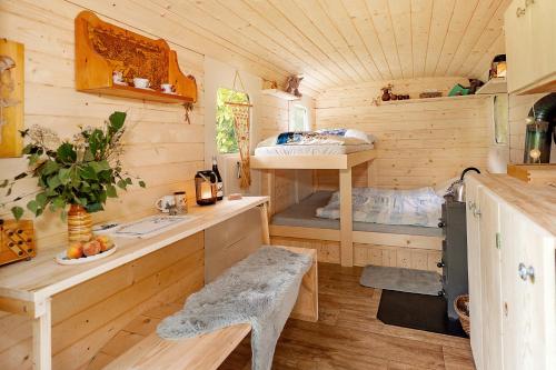 a cabin with a sink and a bunk bed in it at Maringotka Vojenského Stylu na Šumavě in Bošice