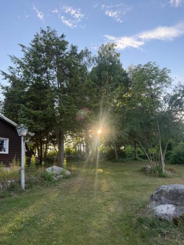 a sun shining through the trees in a yard at BAPA STAYs COZY CABIN A by the Ivö lake in Kristianstad