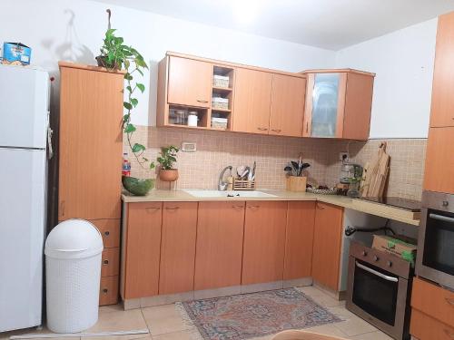 a kitchen with wooden cabinets and a sink at יחידת נוף לגלבוע in Bet Sheʼan