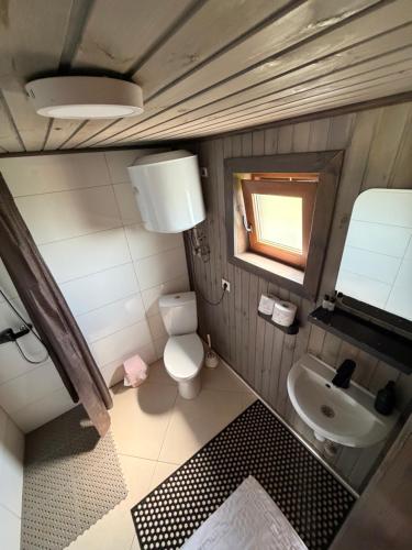 a small bathroom with a toilet and a sink at СвояХата in Svityazʼ