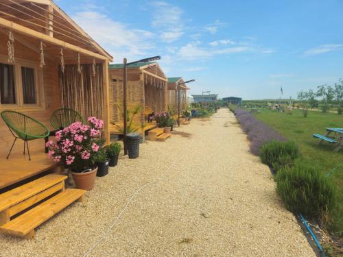 a walkway next to a building with flowers and plants at Mar a Lago Glamping23 in Douăzeci şi Trei August