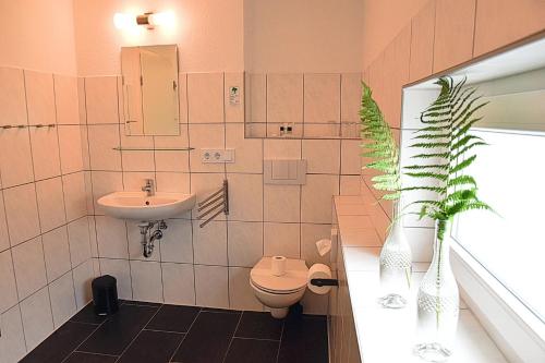 a bathroom with a toilet and a sink and a plant at Hotel Rosenhof - Braunlage in Braunlage