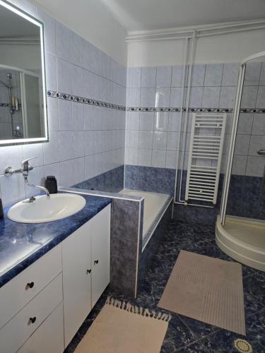 a bathroom with a sink and a tub and a shower at Pod hradem in Choustníkovo Hradiště