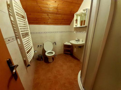 a small bathroom with a toilet and a sink at Penzion Skřítkův grunt in Struhařov