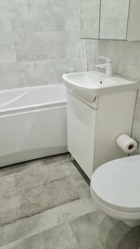 a white bathroom with a toilet and a sink at Boarder City Center Apartment, Võidu tn 5, Apt 16, 4th Floor, Narva in Narva