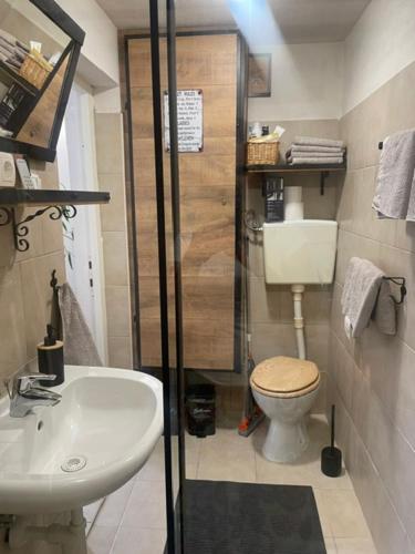 a bathroom with a shower and a toilet and a sink at Sunny Karla apartment Dramlje in Dramlje