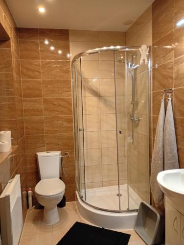 a bathroom with a shower and a toilet and a sink at Idylla in Połom Mały