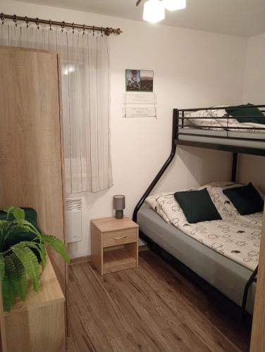 a bedroom with a bunk bed and a wooden floor at Idylla in Połom Mały