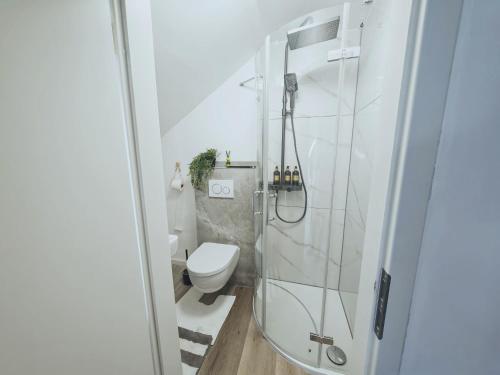 a white bathroom with a shower and a toilet at Unterkunft in Eggenfelden in Eggenfelden