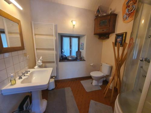 a bathroom with a sink and a toilet at Braeschenberg in Breitenbach-Haut-Rhin