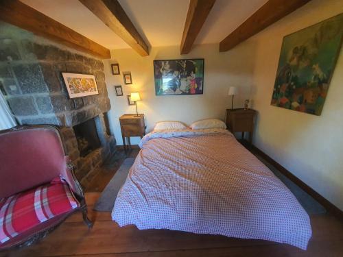 a bedroom with a bed in a room with a fireplace at Braeschenberg in Breitenbach-Haut-Rhin