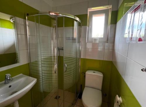 a bathroom with a shower and a toilet and a sink at Domkiuweroniki in Mielenko