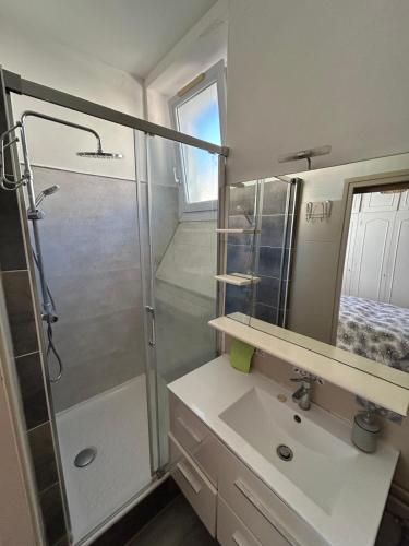 a bathroom with a shower and a sink at Cosy Néroli - T3 - Parking privée plein centre ville in Pau