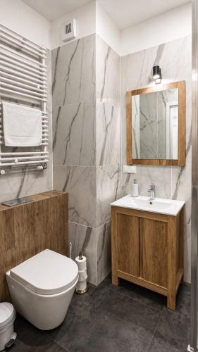 a bathroom with a sink and a toilet and a mirror at JBHotels Apartament DeLuxe przy Galaxy in Szczecin