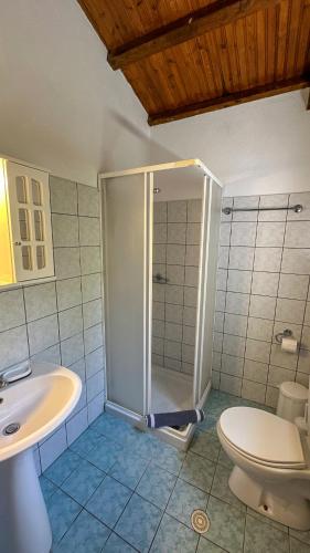 a bathroom with a shower and a toilet and a sink at Katias Villa in Alonnisos