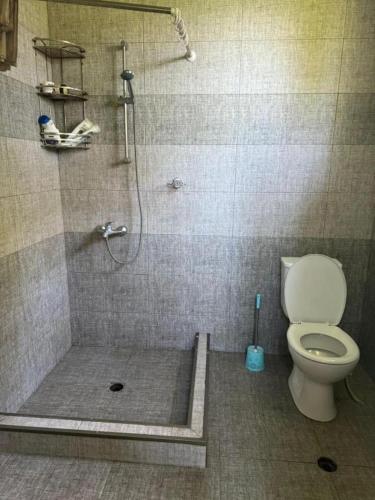 a bathroom with a shower and a toilet at Tsikhisdziri Hotel in Ts'ikhisdziri