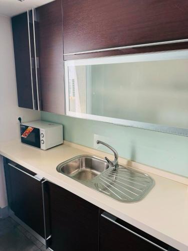 a kitchen counter with a sink and a microwave at Teatro de Caesar Augusta in Zaragoza