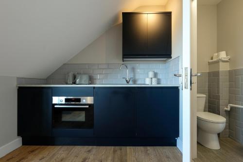 a blue kitchen with a sink and a toilet at The Willow Apartments in Bristol